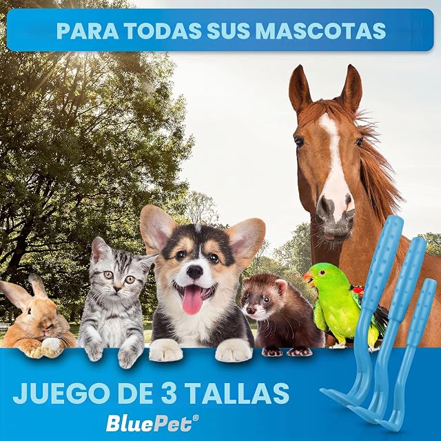 Foto 4 de 8 de BluePet Ganchos para Garrapatas, Set de 3 Tamaños con Bolsa, Pinza Quita Garrapatas para Personas, Perros