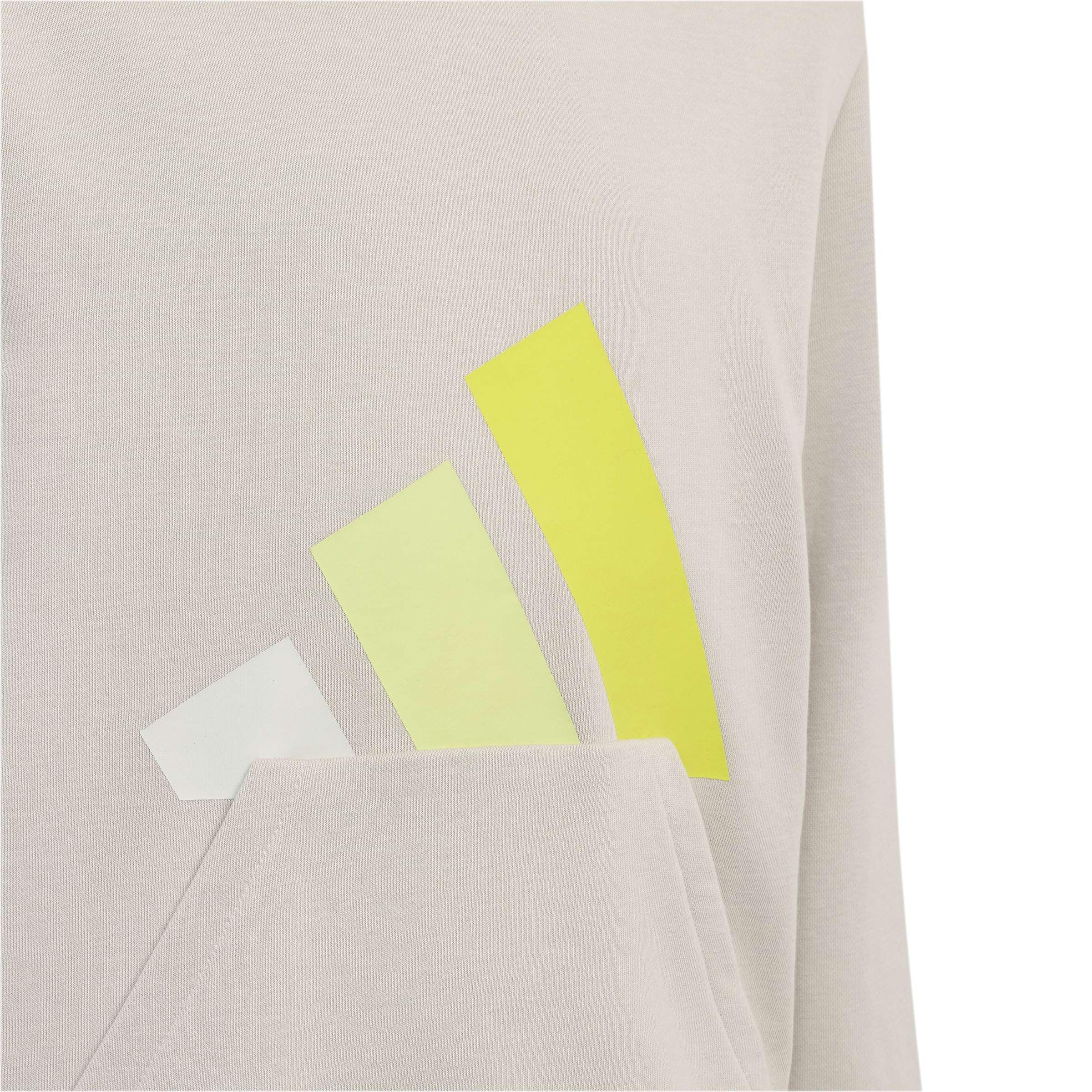 adidas Uniseks - dzieci Essentials Big Logo Hoodie Sweatshirt, wonder alumina/orbit grey/Frozen Lemon/Solar Lemon, 13-14 Years