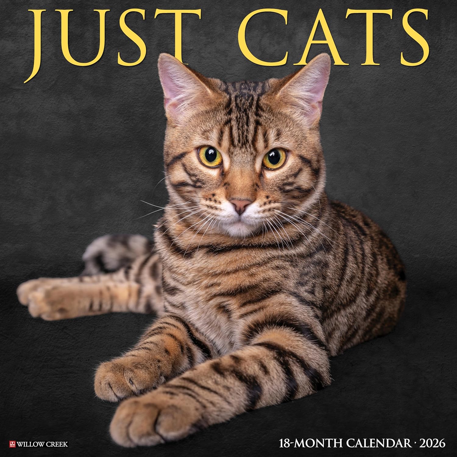 Cats 2026 Wall Calendar Willow Creek Press 0679752013035
