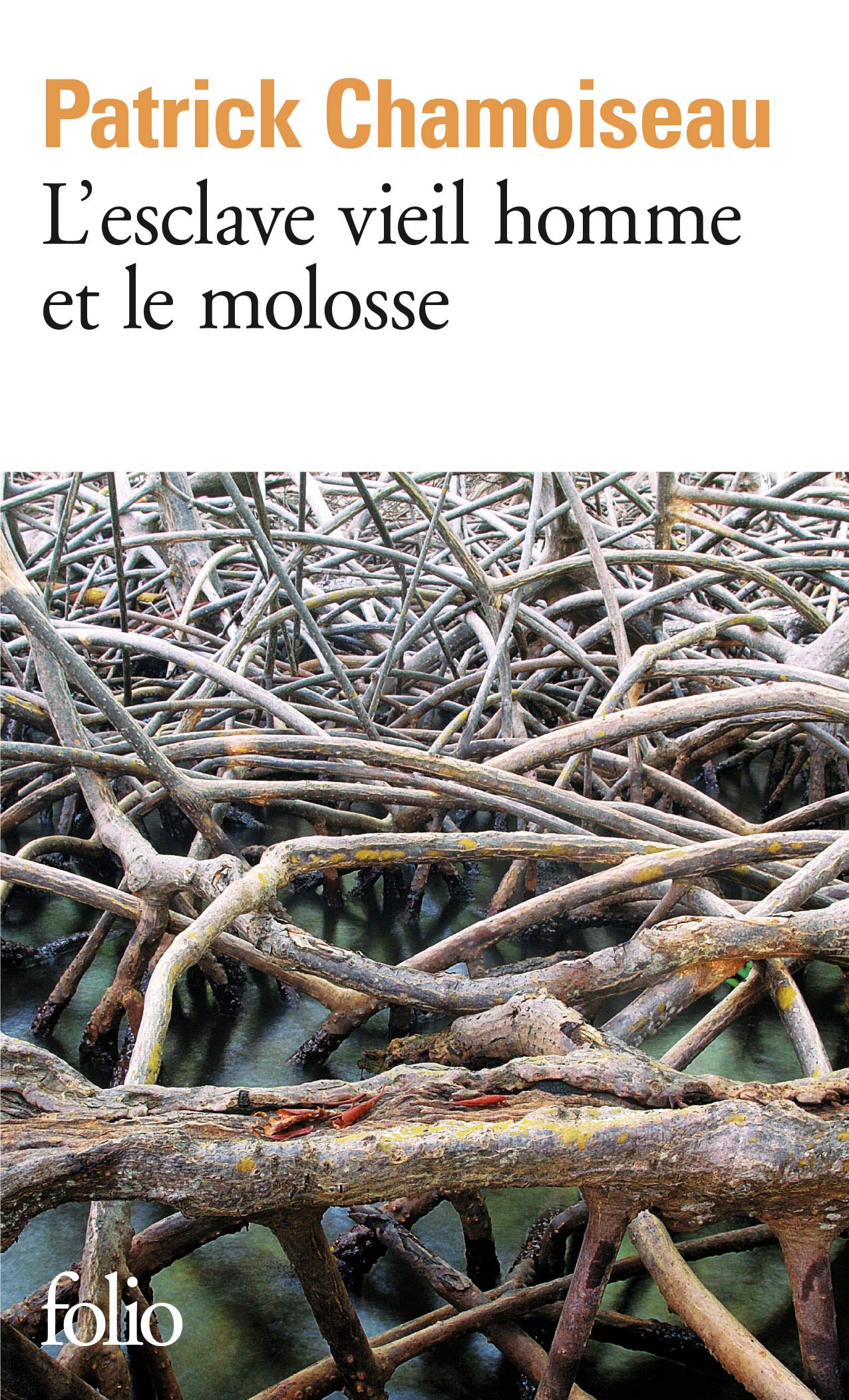 L'esclave vieil homme et le molosse (Folio)