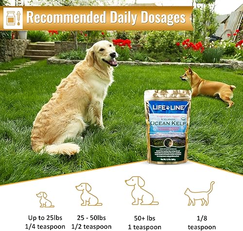 Miniatura 6 de Life Line Pet Nutrition - Suplemento en polvo orgánico de algas oceánicas para piel y pelaje la alga islandesa apoya la digestión y la salud general