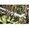 Product Photo 8