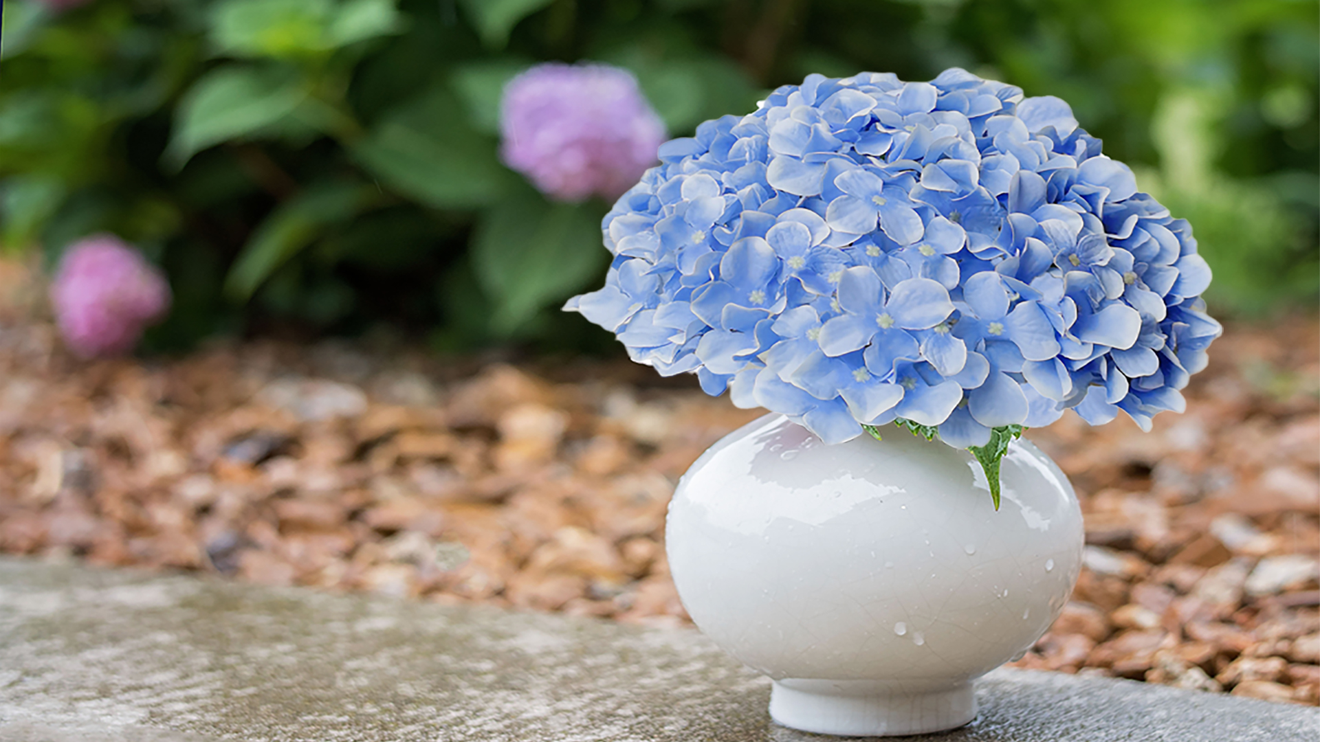 Hydrangea4936　0705 Amazon.com: Cherica Blue Hydrangea Artificial Flowers Bulk, 40 Pcs