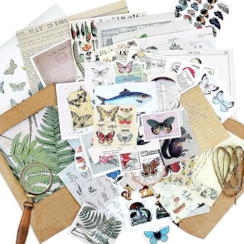 Calcomanías vintage para álbumes de recortes, calcomanías vintage para diario, calcomanías de hongos, diario retro antiguo, suministros de