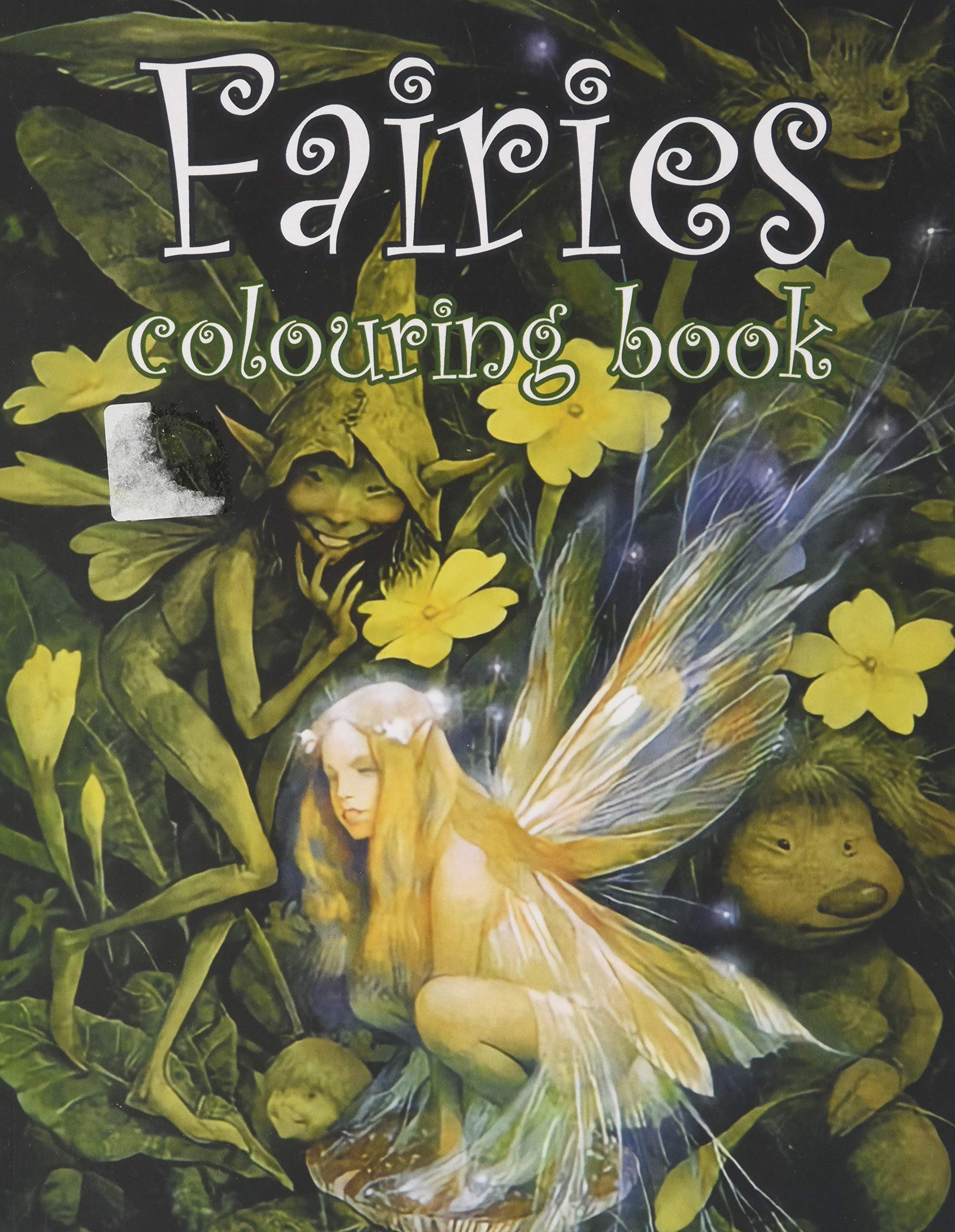 Fairies Colouring Book: Stress Relief Colouring Book for Adults | Fairies, Angels, Flowers, Unicorns and more