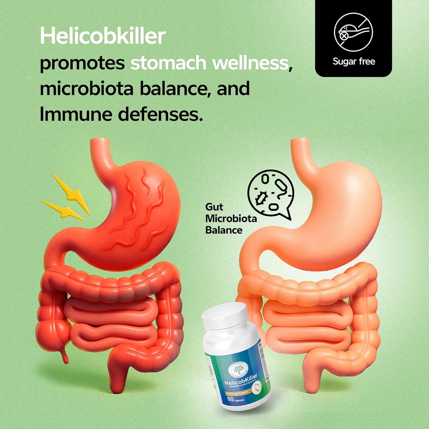 HELICOBKILLER - Natural Digestive Support Supplement with 60 Capsules | Fights Helicobacter Pylori, Supports Digestive System & Gut Microbiota