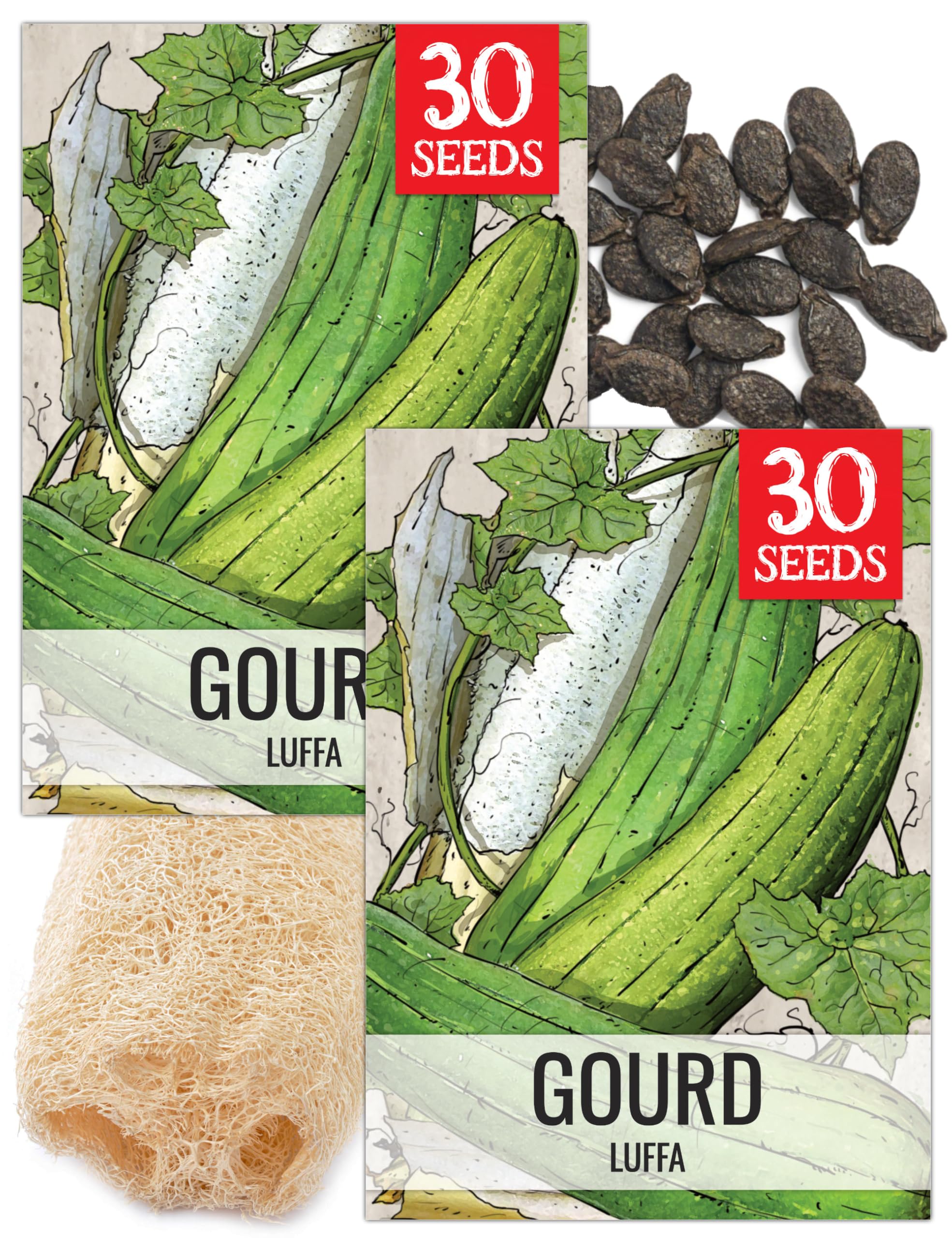 Amazon.com : Seed Needs Luffa Seeds for Planting Loofah Sponge Gourds -  Non-GMO Heirloom & Untreated Veggie Seed to Plant a Home Grown Outdoor  Vegetable Garden (2 Packs) : Patio, Lawn & Garden