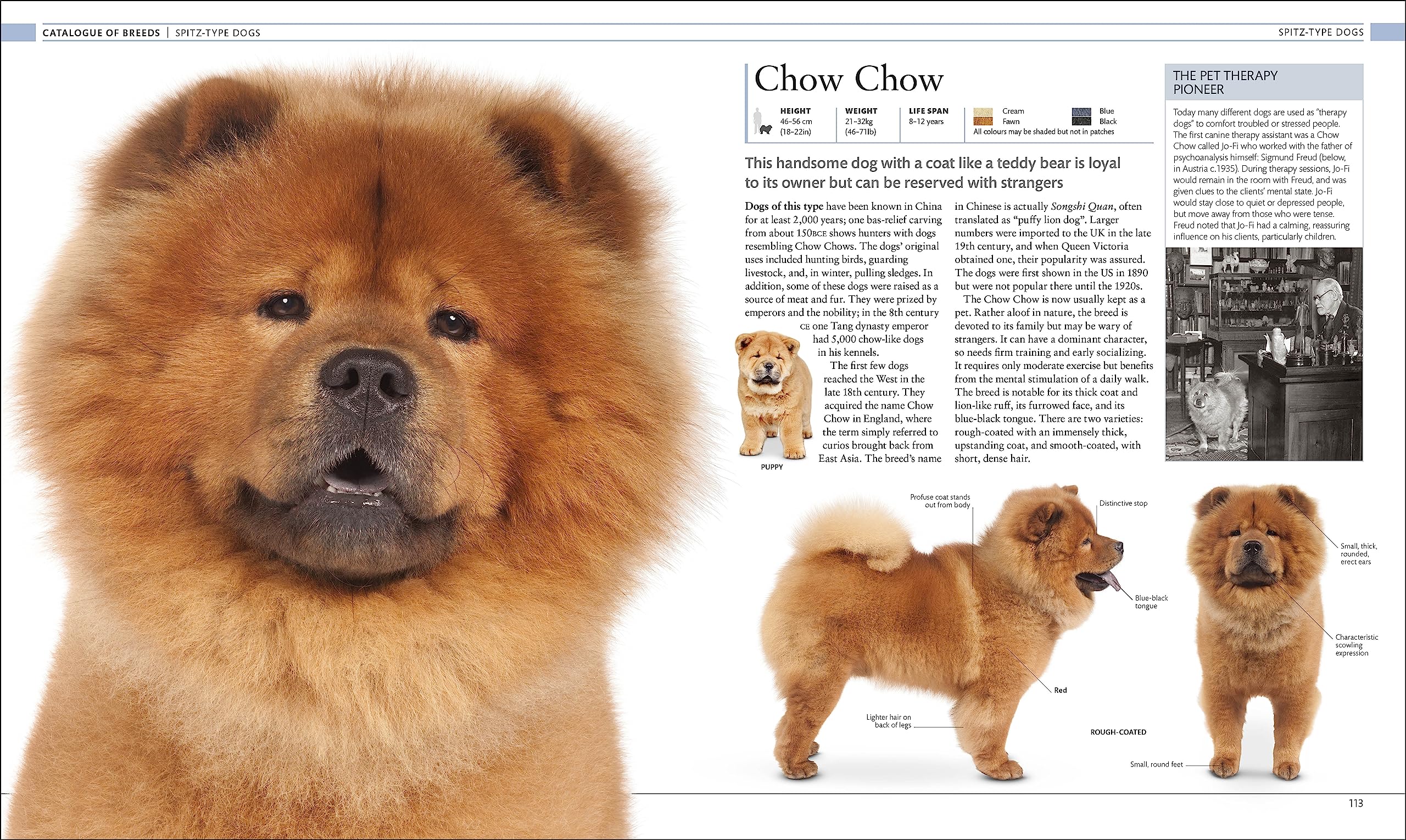The Dog Encyclopedia: The Definitive Visual Guide