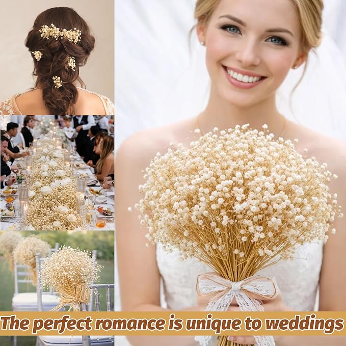 2300+ Dried Babys Breath Flowers 17'' Bulk – Natural Ivory White Gypsophila Branches, White Dried Flowers for Vase miniatura 7