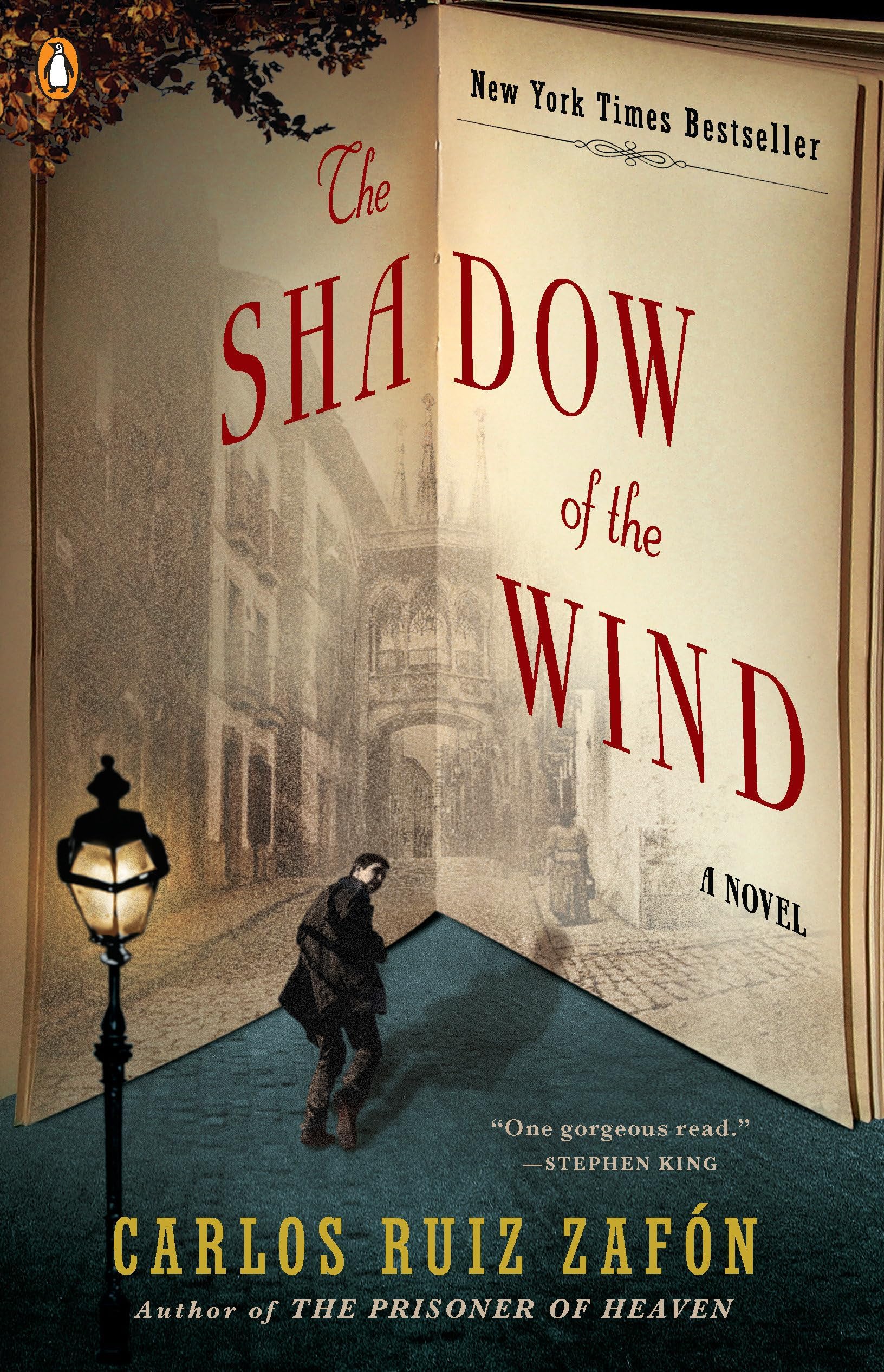 The Shadow of the Wind (Cemetery of Forgotten Books)