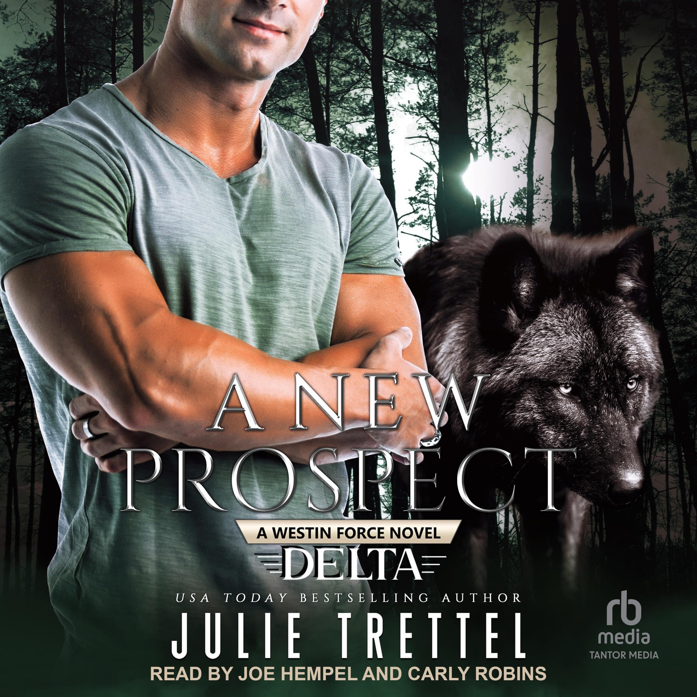 Cover art for A New Prospect