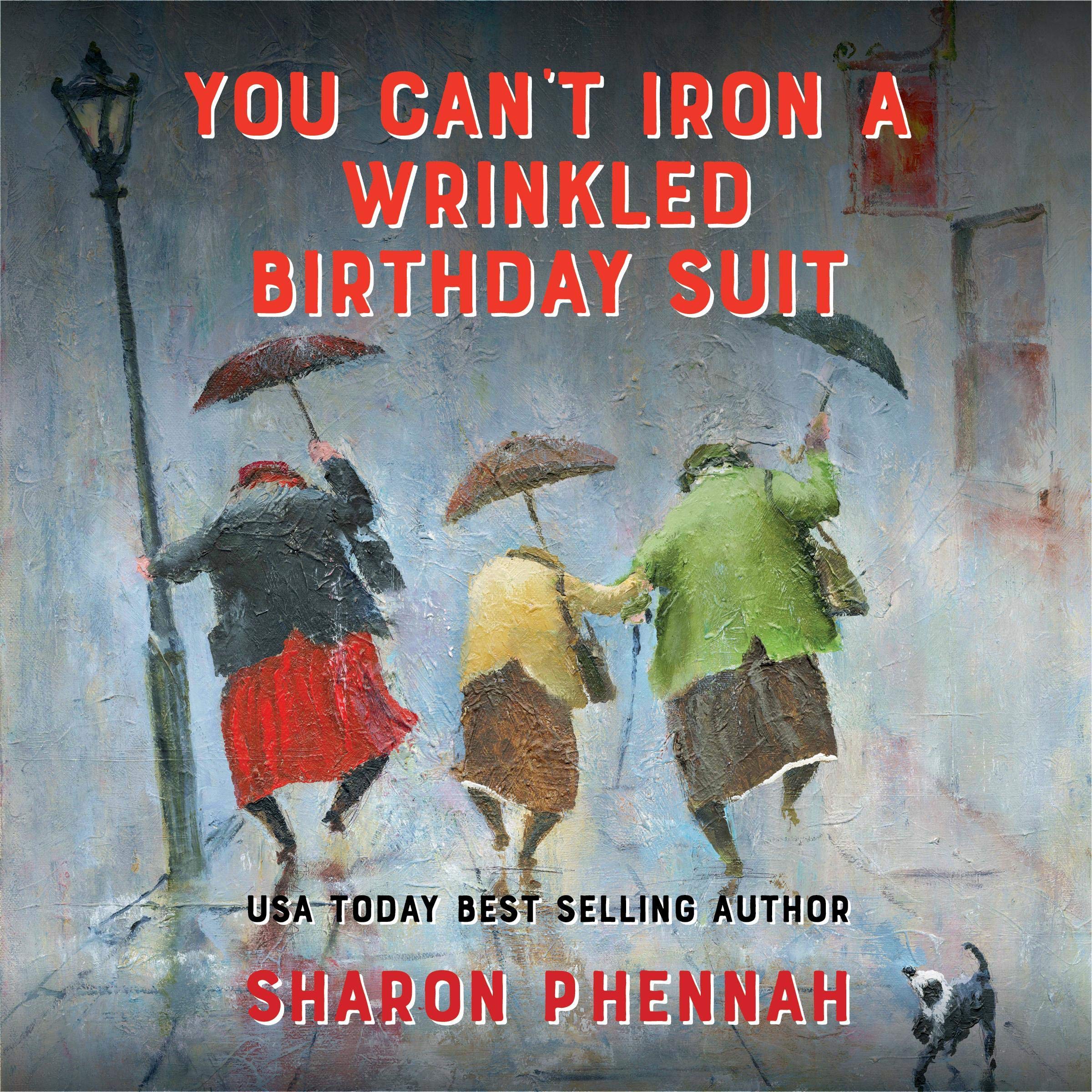 Cover art for You Can't Iron a Wrinkled Birthday Suit