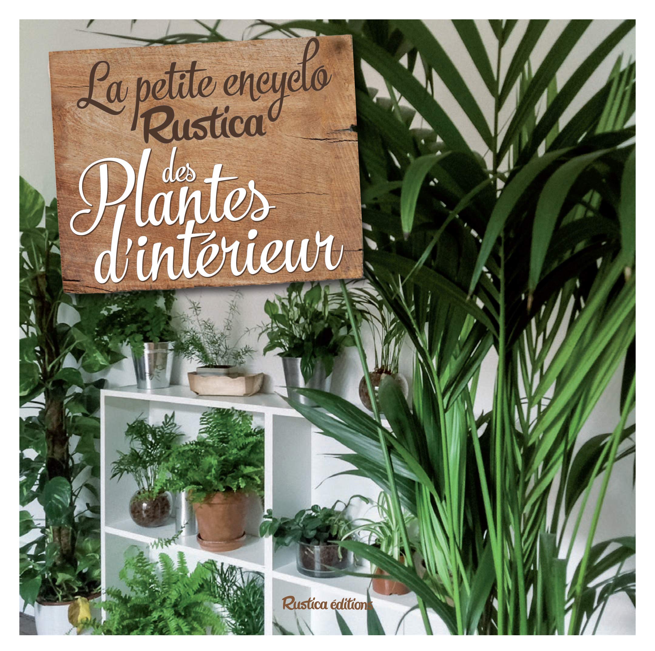 Plantes D intérieur 700 Plantes Vertes Et Fleuries
