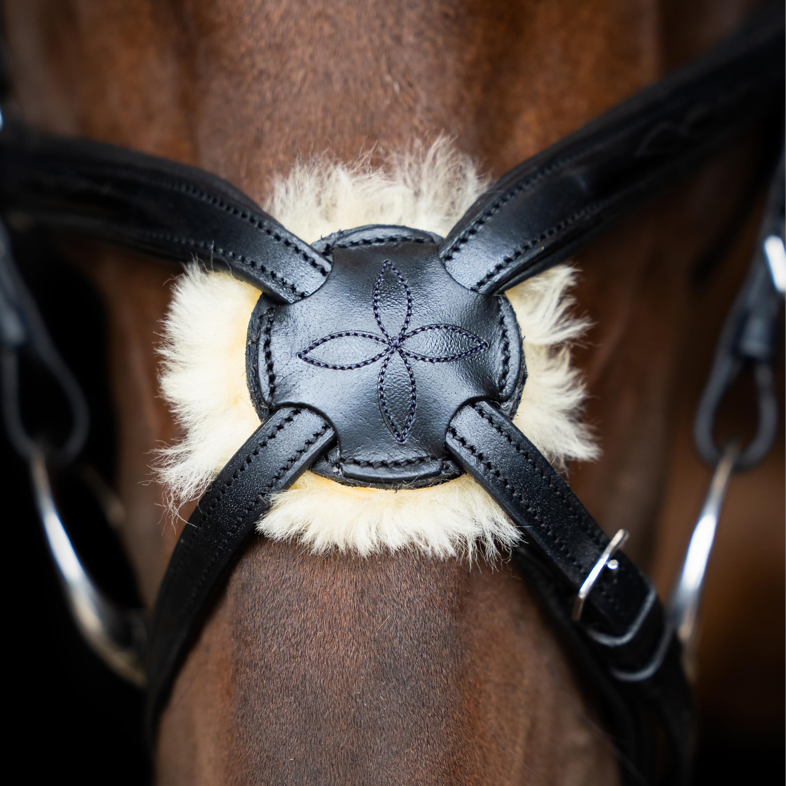 Imperial Riding Mexikanisches Zaumzeug IRH, Leder mit breitem Nasenband und gepolstertem Genickstück, Schwarz, Full