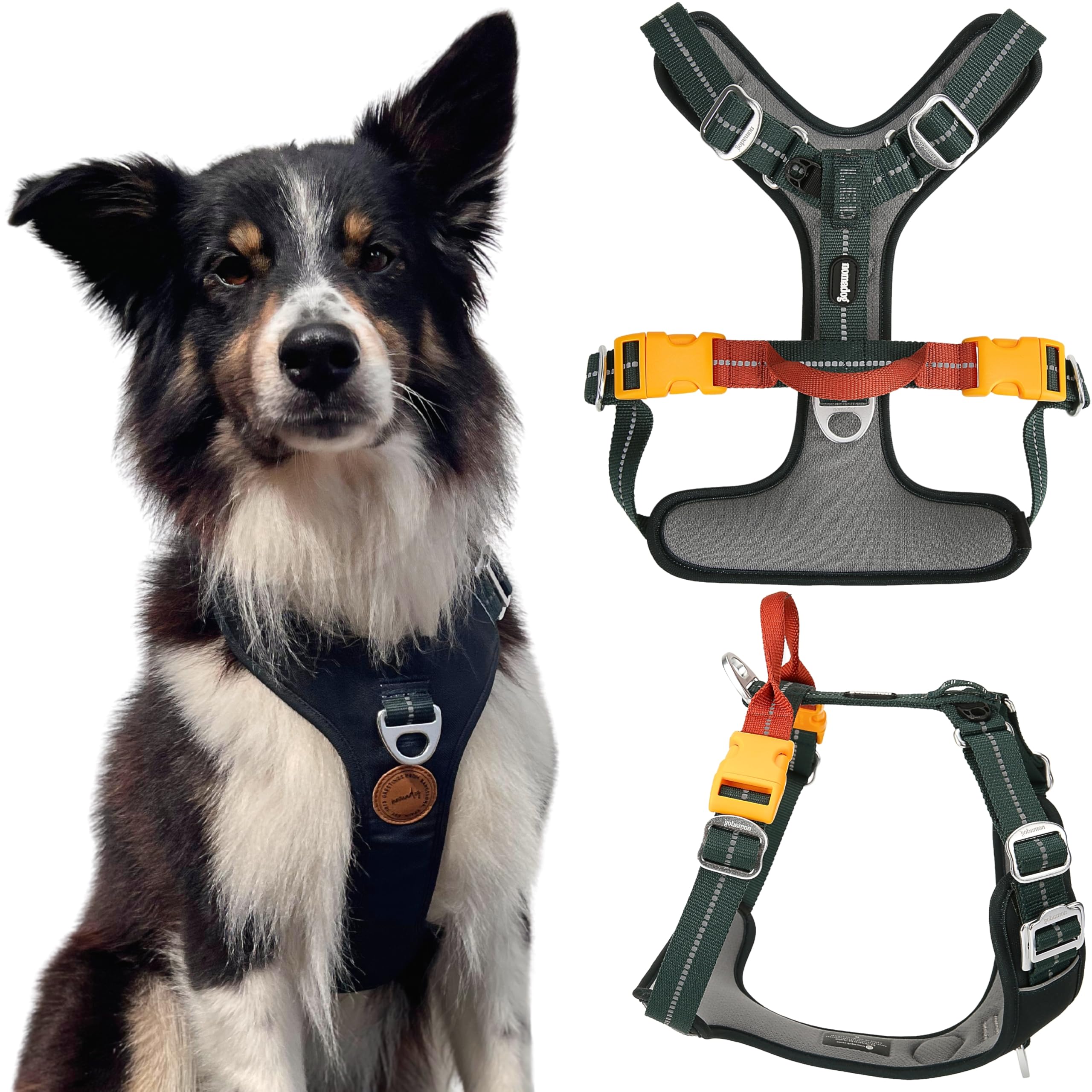 Nomadog Trailblazer Arnes Antitirones Perro Mediano con Asa - Ajuste Óptimo, Reflectante 3M, Aluminio No Oxidante, Materiales Reciclados - Ideal para Perros Activos (M)