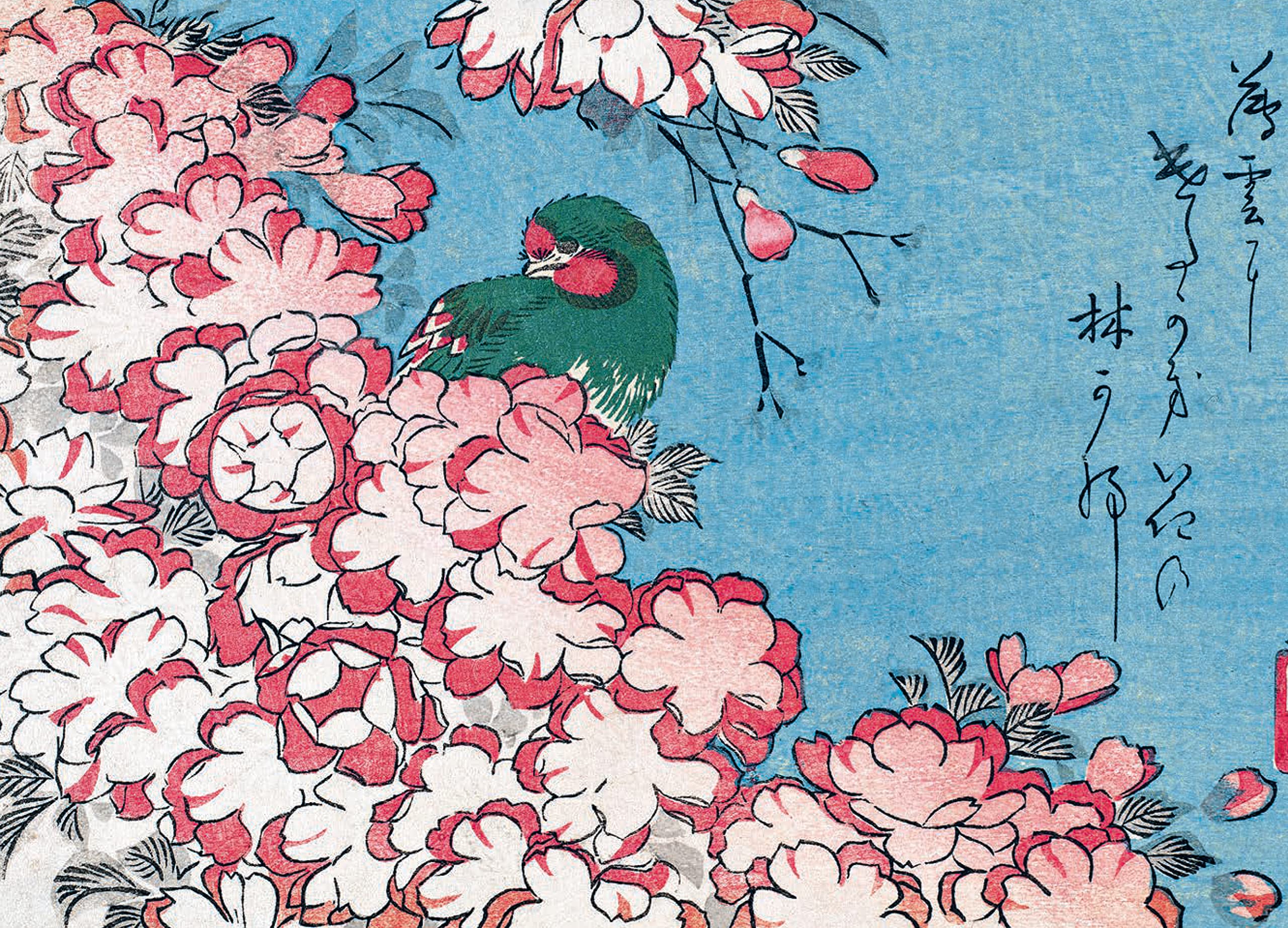 Les cerisiers en fleur par les grands maîtres de l'estampe japonaise (coffret)