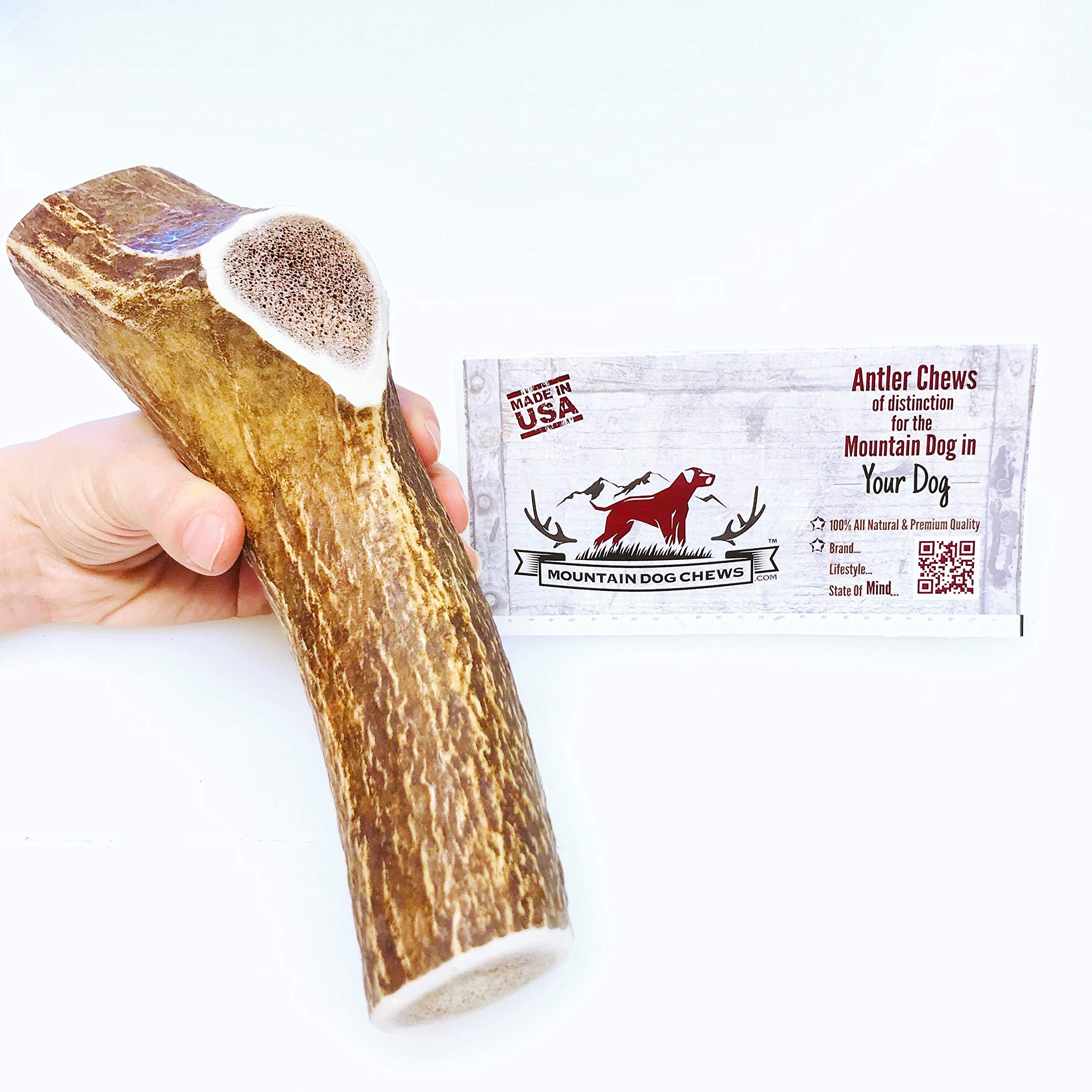 Mountain Dog ChewsX-Large Whole Elk Antler Dog Chew - Grade A Premium - Organic - Made in USA - No Mess