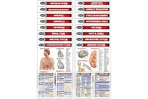 Nursing School Study Guide: Essential Quick Reference Charts for BSN and RN Year 1