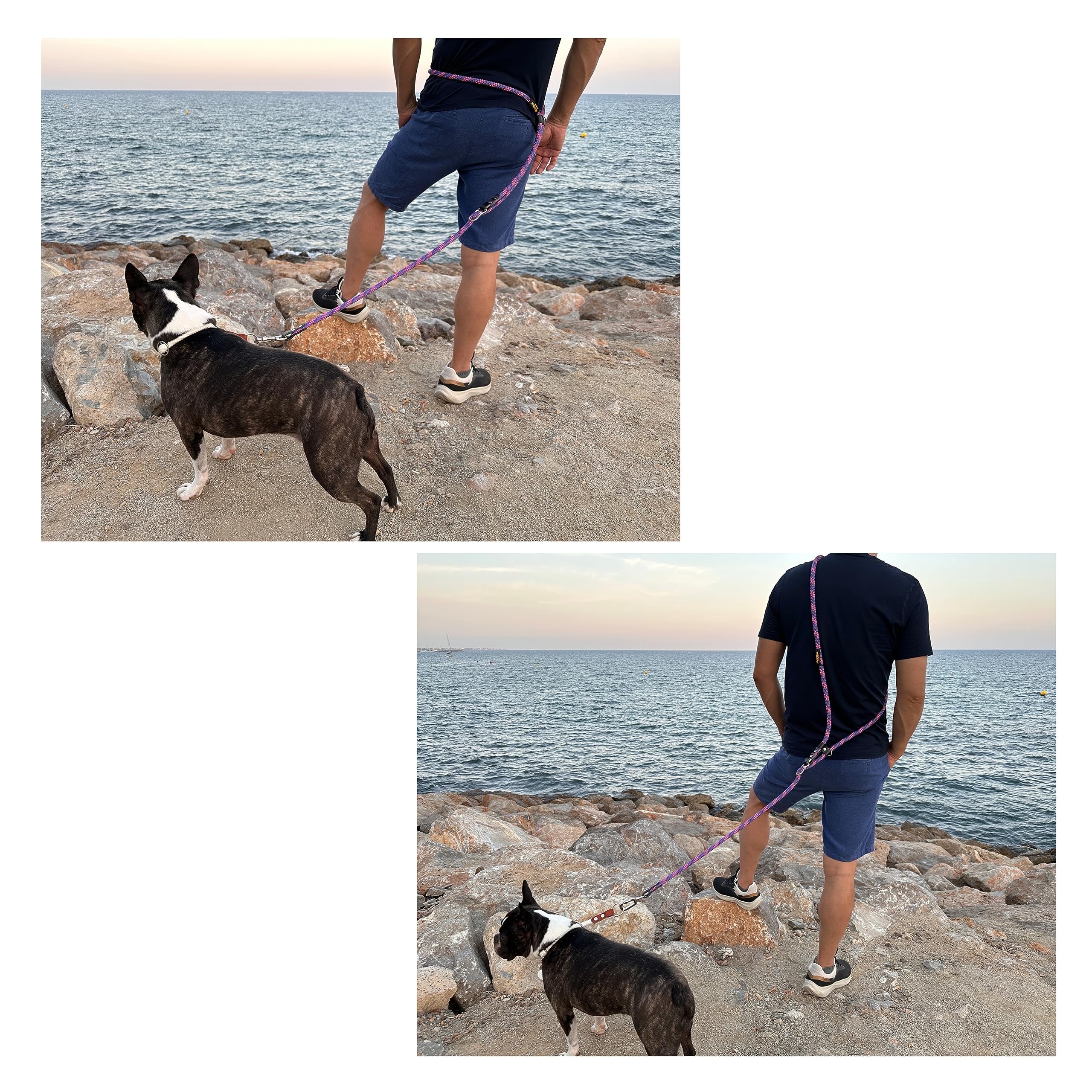 Correas Manos Libres para Perros Pequeños Medianos Grandes. Ajustable. para Correr Caminar y Pasear. Hecho en España. Violeta Rosa & Negro.