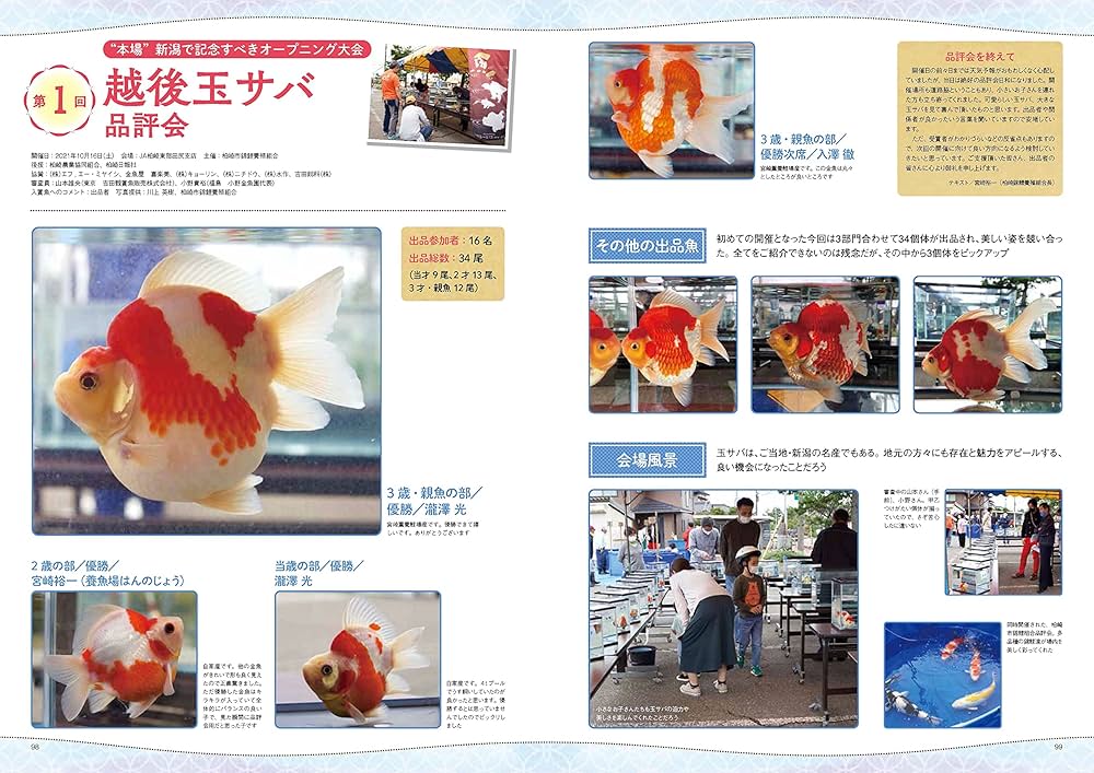 きんぎょページ 81pnGy+L7rL._UF1000,1000_QL80_.jpg