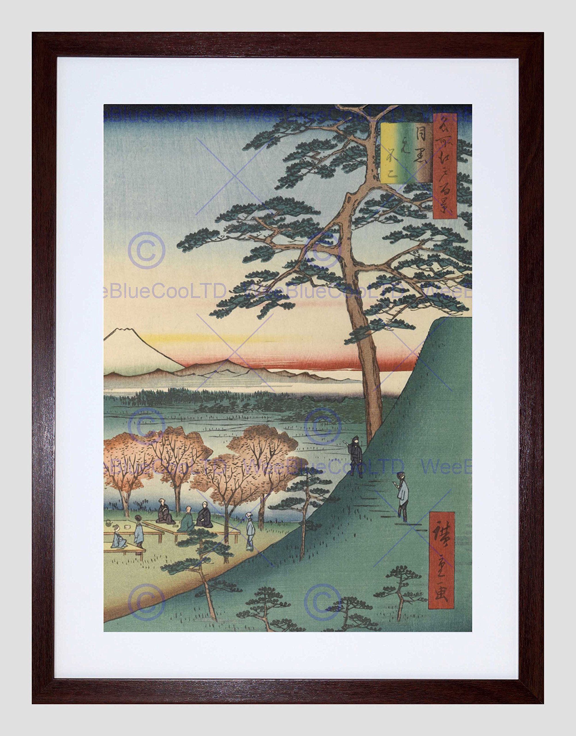 Wee Blue Coo Original Fuji Meguro Views of Edo Hiroshige Woodblock Framed Wall Art Print