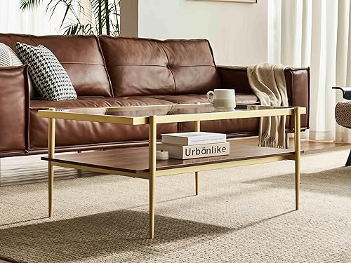 Miniatura 4 de Shrine - Mesa de café rectangular, diseño moderno de mediados de siglo, estructura de 2 niveles, parte superior de vidrio transparente y estante de