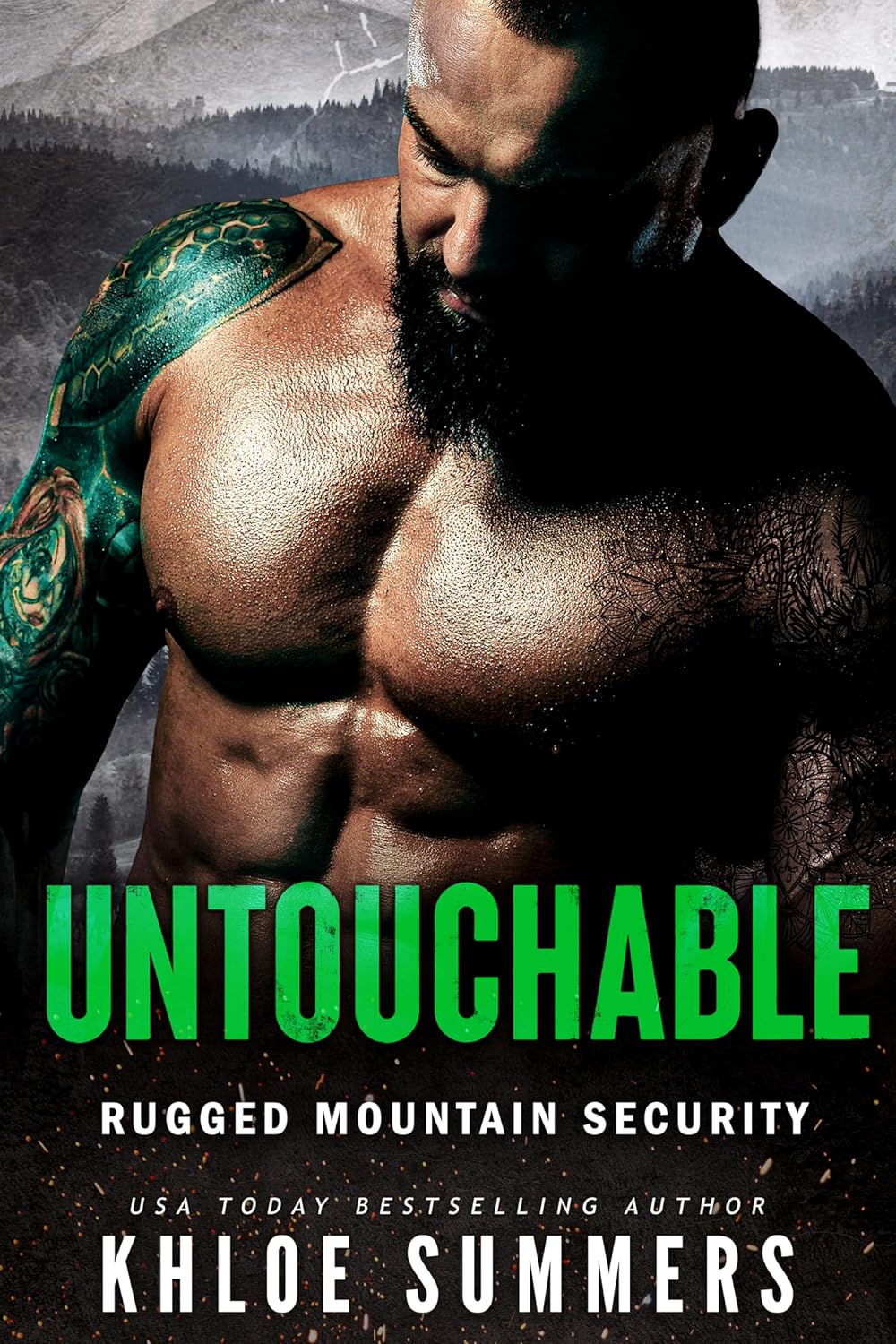 Untouchable : Rugged Mountain Security