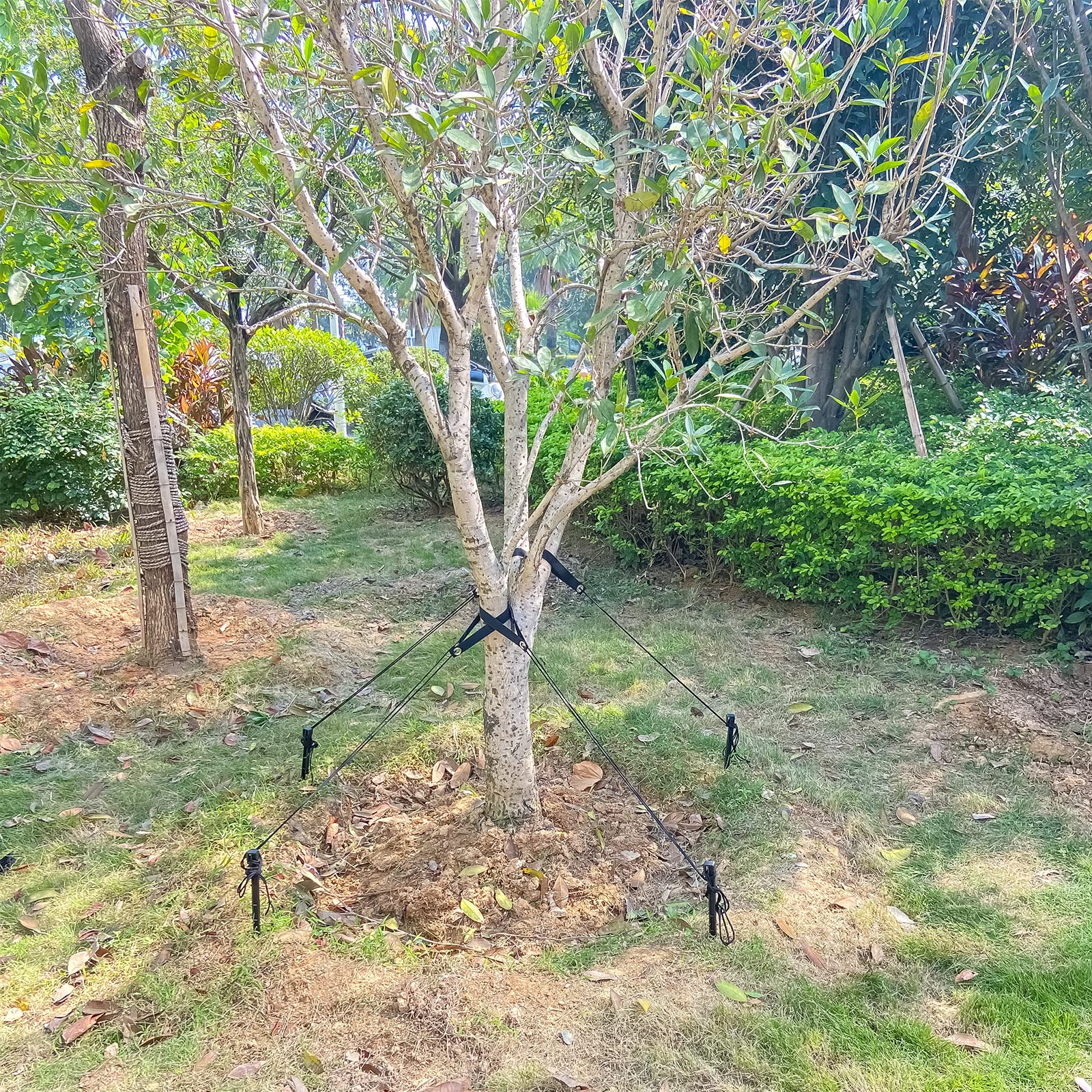 Sintuff Baumpfahl-Set, 15 Cm Gurte & 4 M Seil – Für Baumstütze Im Garten