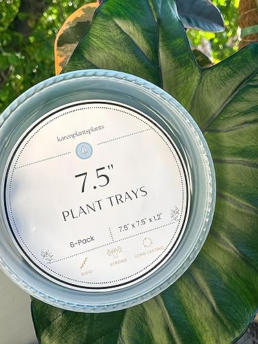karenplantsplants Paquete de platillos transparentes resistentes para plantas (7.5 pulgadas - 6 unidades)