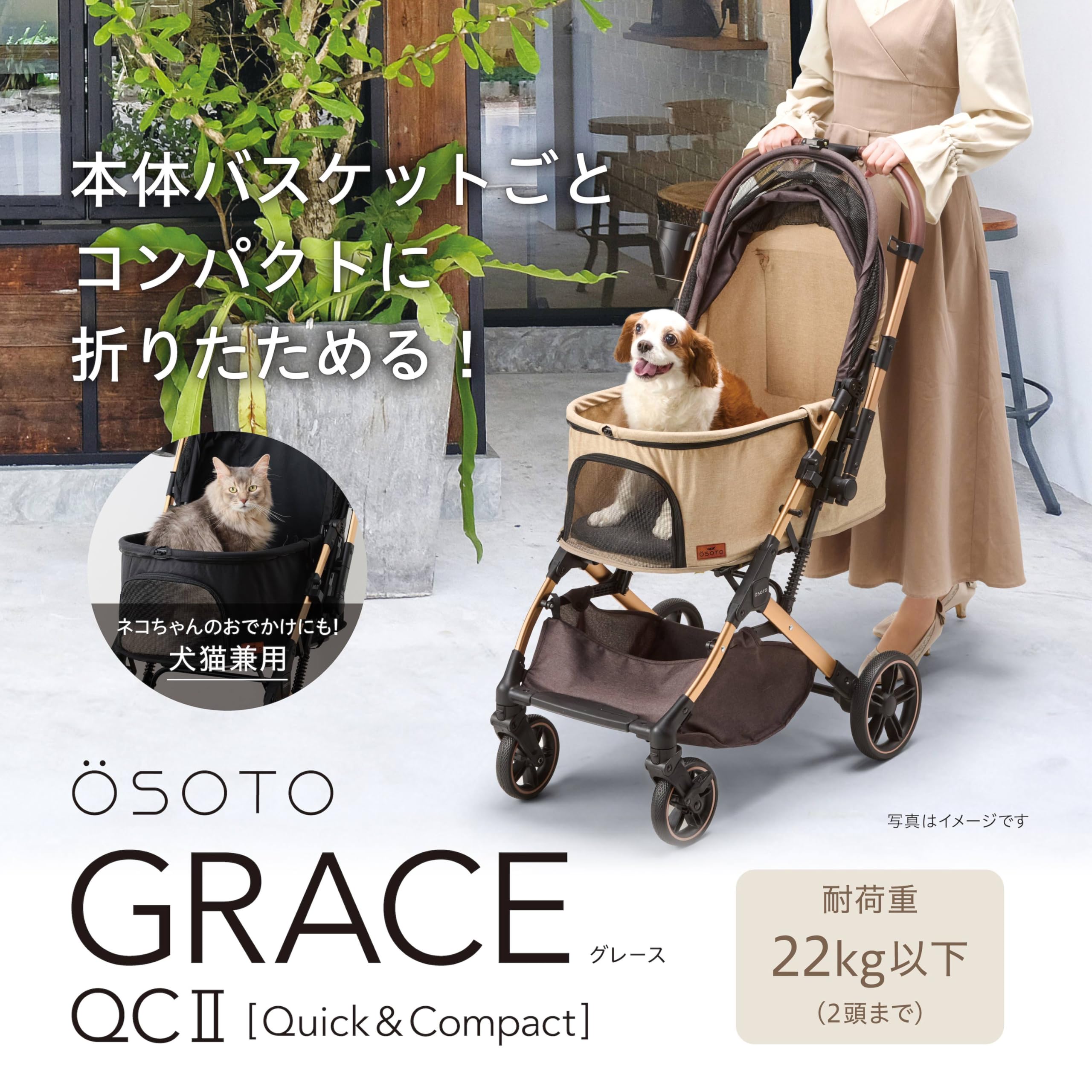 Amazon | ジェックス OSOTO GRACE QC Ⅱ キャメル ワンタッチで