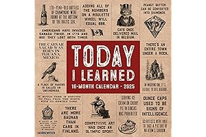 Essence Calendar: Elevate Your Days with Art and Mindfulness