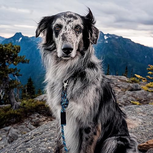 Vista 6 de Wilderdog Cuerda de escalada - Correa para perro con clip rápido, 5 pies, color azul pacífico Pacific Blue