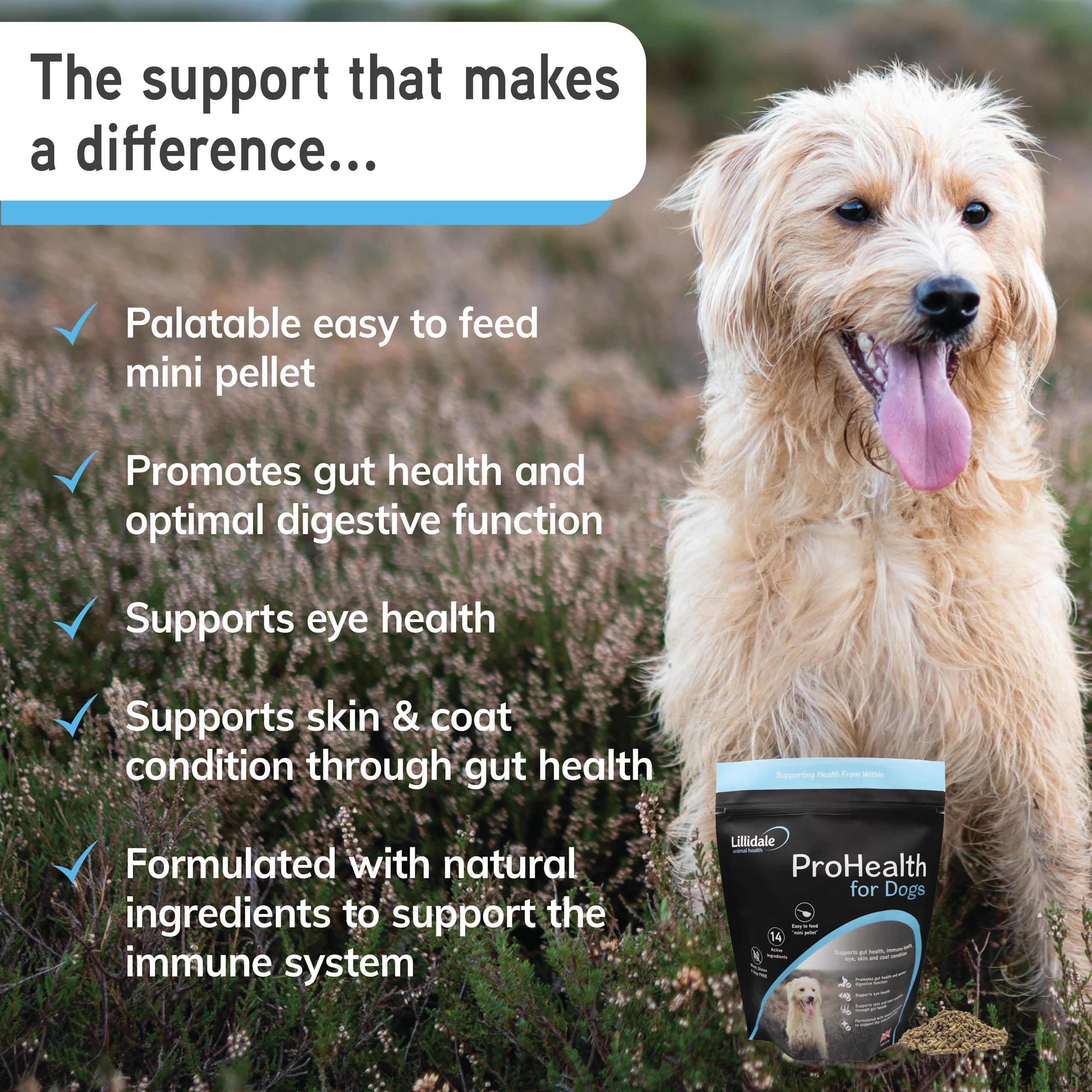 Lillidale ProHealth 200g, Dog Gut Health Supplement Pellets, Probiotic & Prebiotic, 14 Active Ingredients, Gluten & Soy Free - Image 4