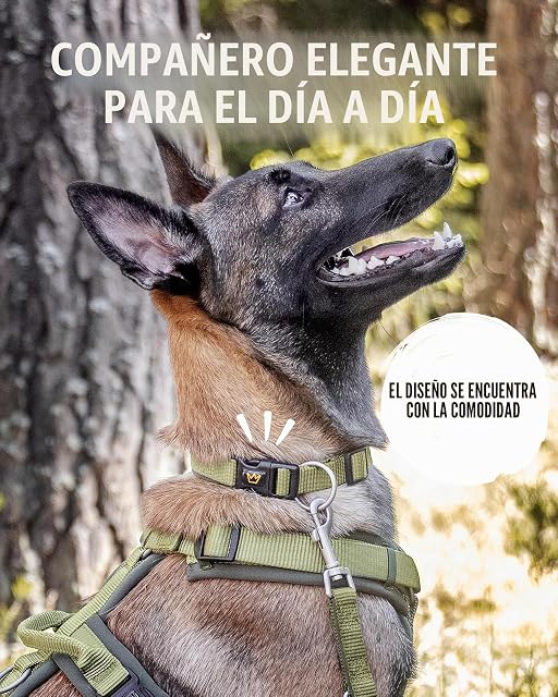 Foto 5 de 6 de Rudelkönig Collar Perro Bella - Ajustable, Neopreno Acolchado, Reflectante