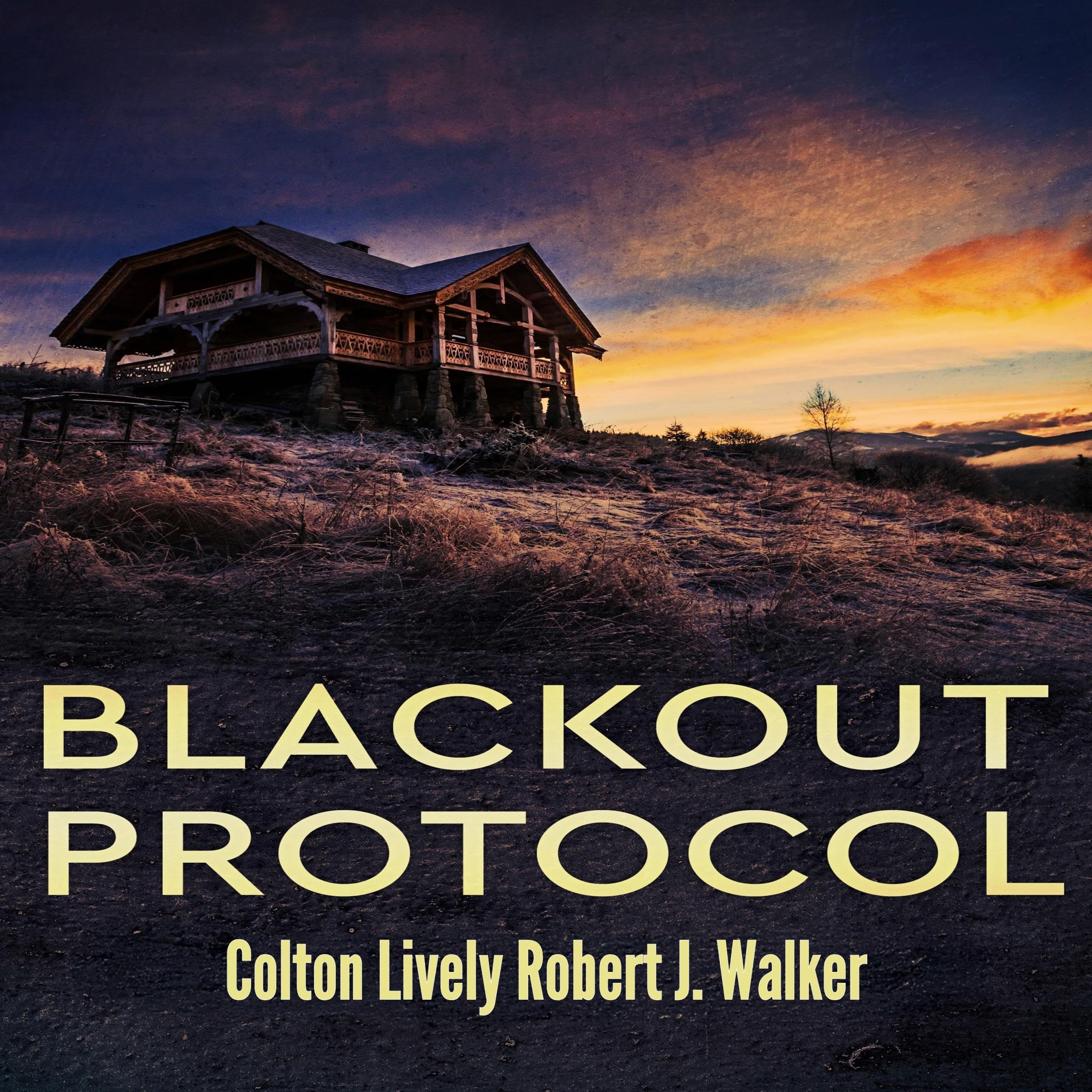 Cover art for Blackout Protocol