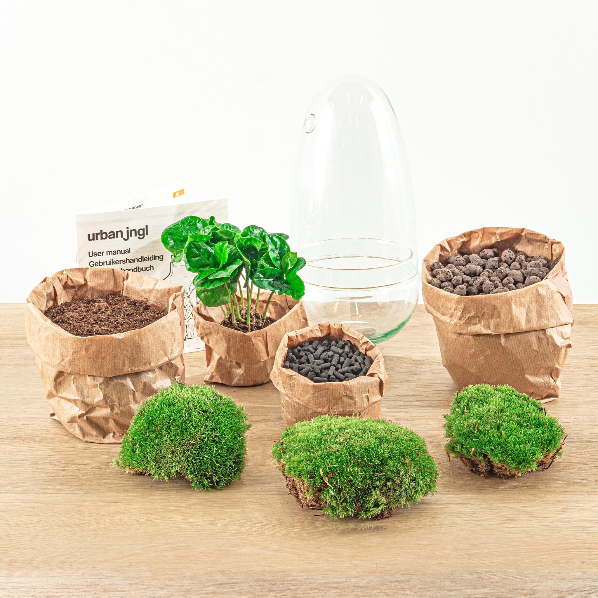 urbanjngl - urbanjngl.com - Egg Coffea - Flaschengarten - Zweiteilige Glaskuppel - DIY Terrarium mit Pflanzen im Glas - Ø 12 cm ↑ 25 cm