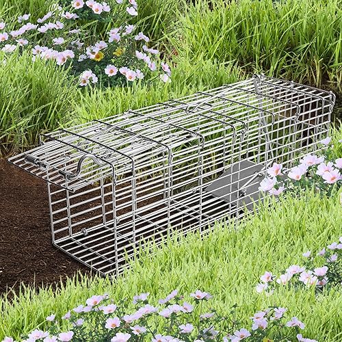 Miniatura 7 de Paquete de 2 trampas para ratas H&B, trampas para ratones, jaula de trampa de animales vivos humanitarios, 14.4 x 4.8 x 5.6 pulgadas, funciona para