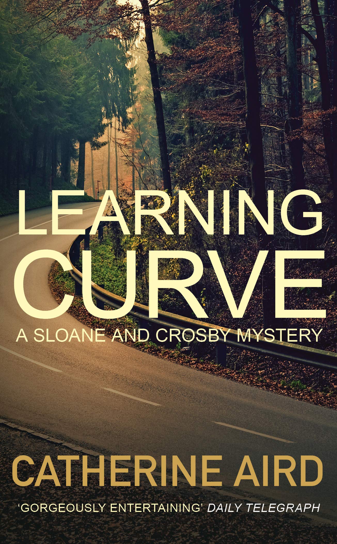 Learning Curve