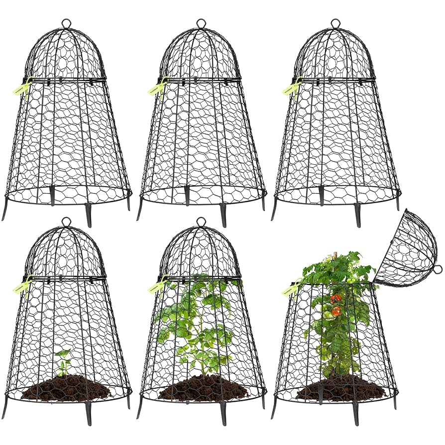 k.fsoon☆ Amazon.com : VIVOSUN Garden Cloches for Plants, Rustproof