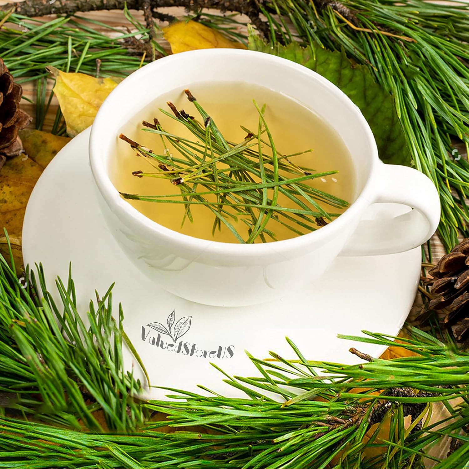 Fresh White Pine Needle Tea, Top Pine Needle Tea Organic, White Pine