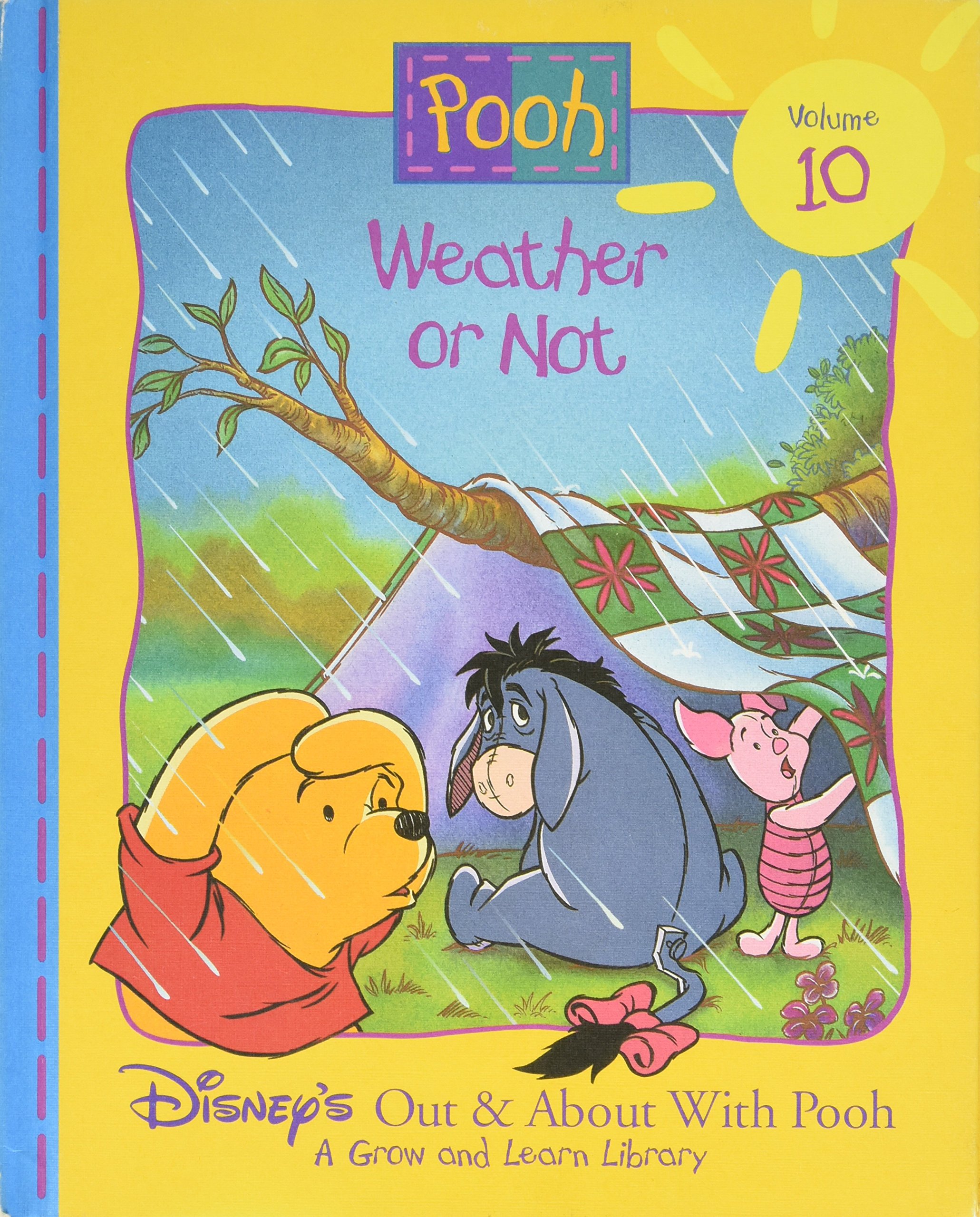 Weather or Not (Disney's Out & About With Pooh, Vol. 10)