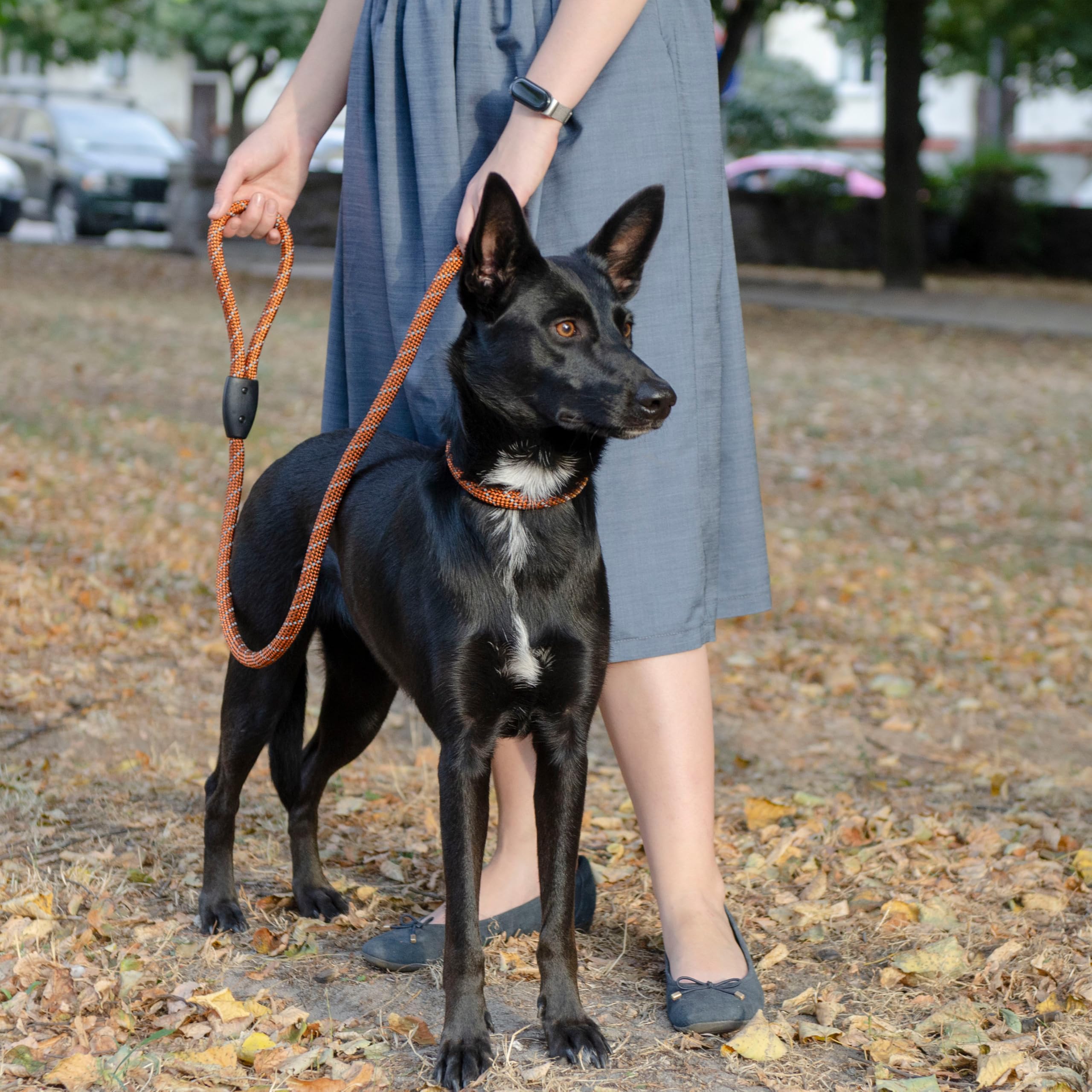 Ferplast SPORT REFLEX Dog Lead and Collar, Reflective Lead with Adjustable Semi-Choke Collar, in Nylon Cord - Image 4