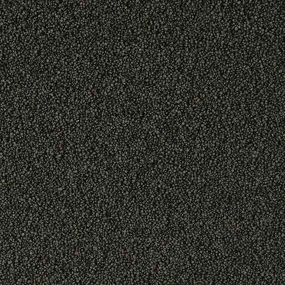 Tropical Super Spirulina Forte Mini Granulate 100ml 56gr