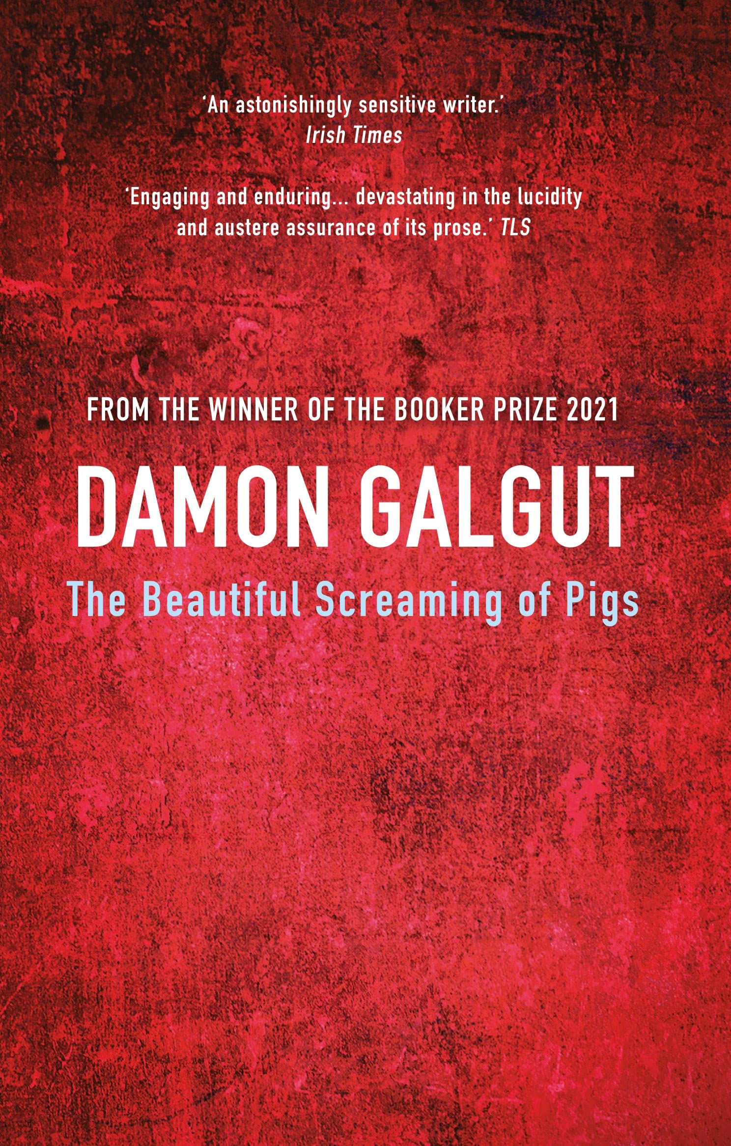The Beautiful Screaming of Pigs by Damon Galgut (Paperback Book)