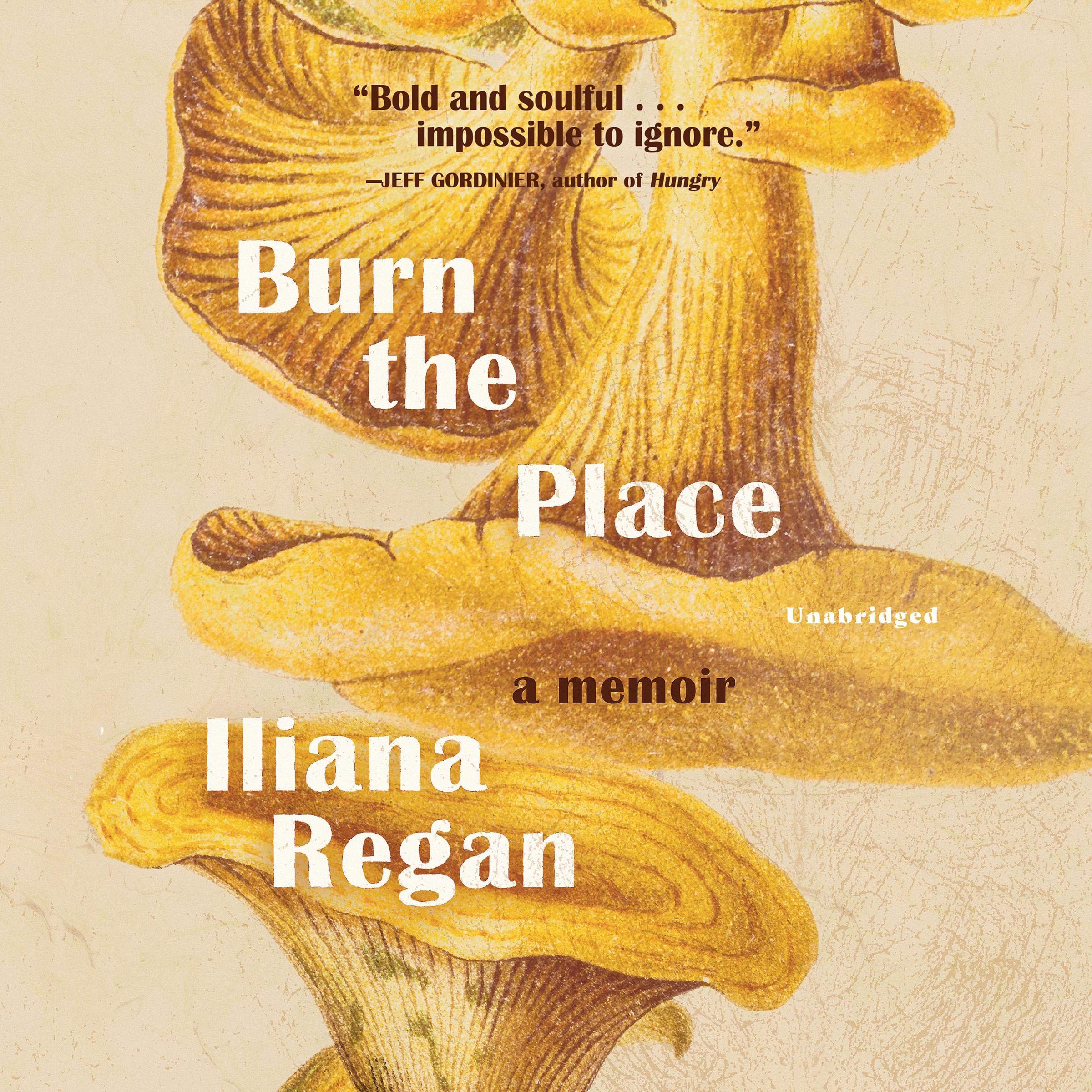 Cover art for Burn the Place