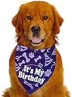 Happy Tails Shop Online At Best Prices In Saudi Souq Is Now Amazon Sa