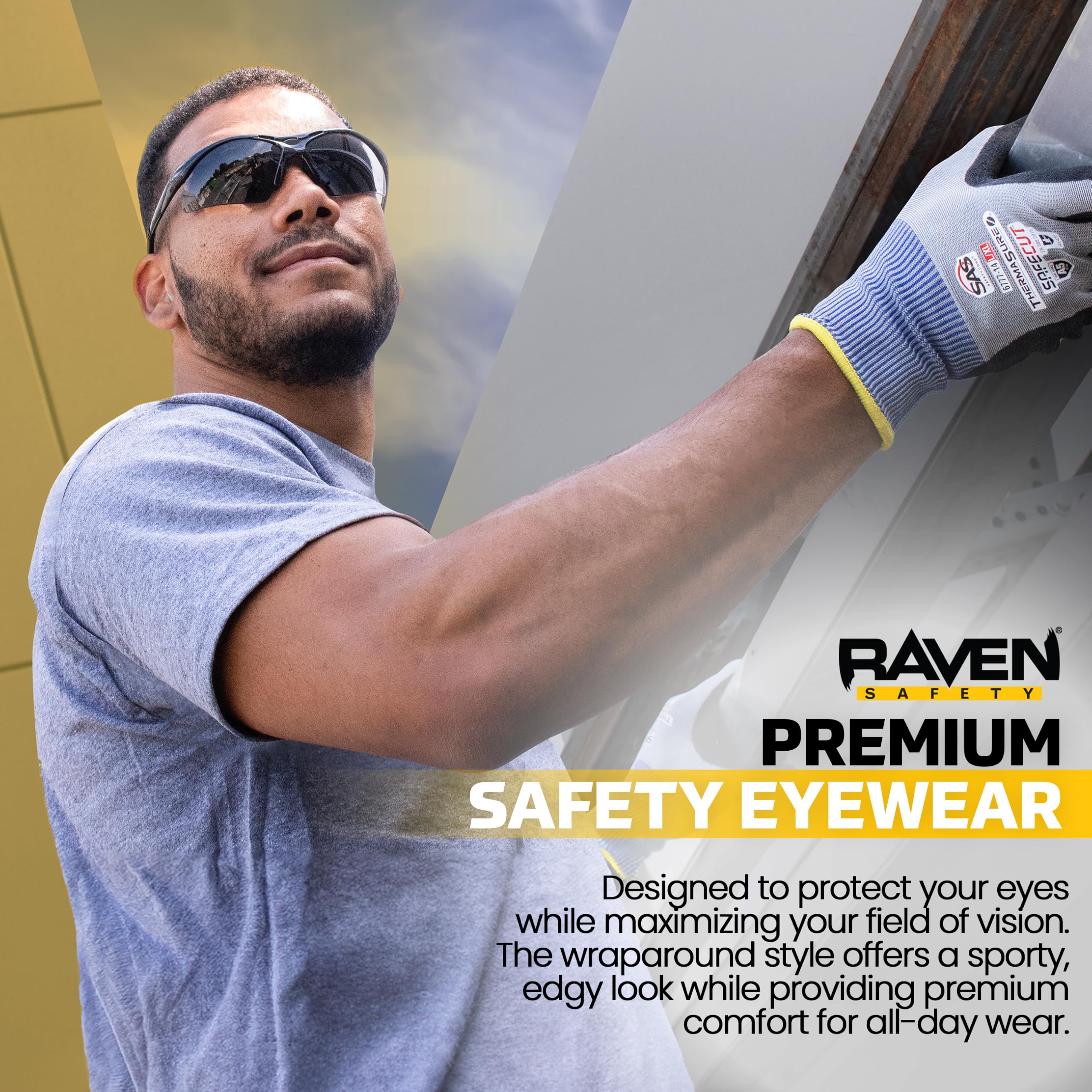 SAS Sécurité 540–0201 Diamondback Lunettes de sécurité Cadre noir, objectif ombré