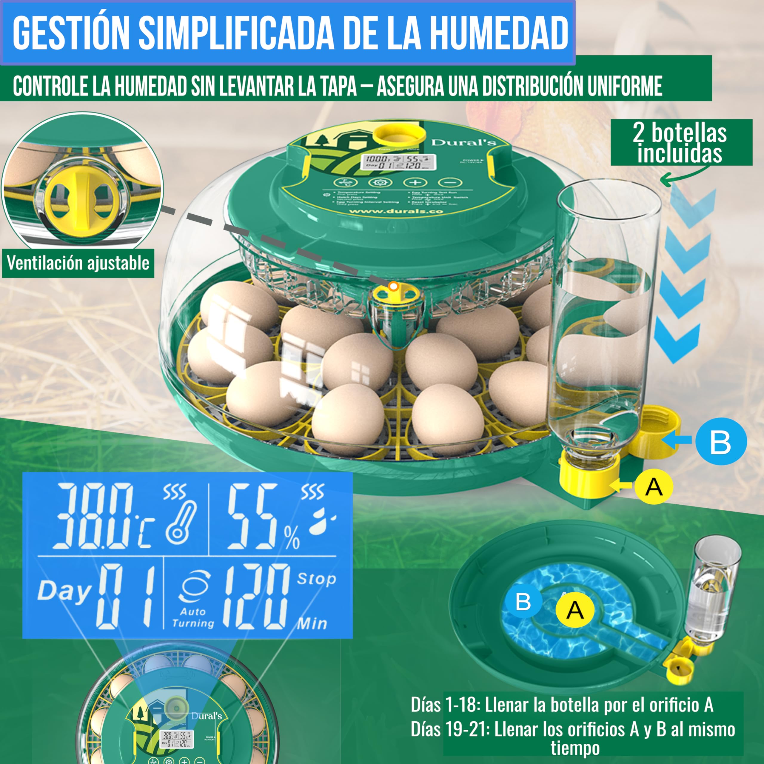 Dural's DX5® | Incubadora Huevos Gallina Automática | Certificada CE | Temperatura precisa y control de humedad | Hasta 18 huevos de gallina, codorniz, pato | Volteo automático | Fácil de limpiar |
