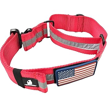 flat nylon choke collar