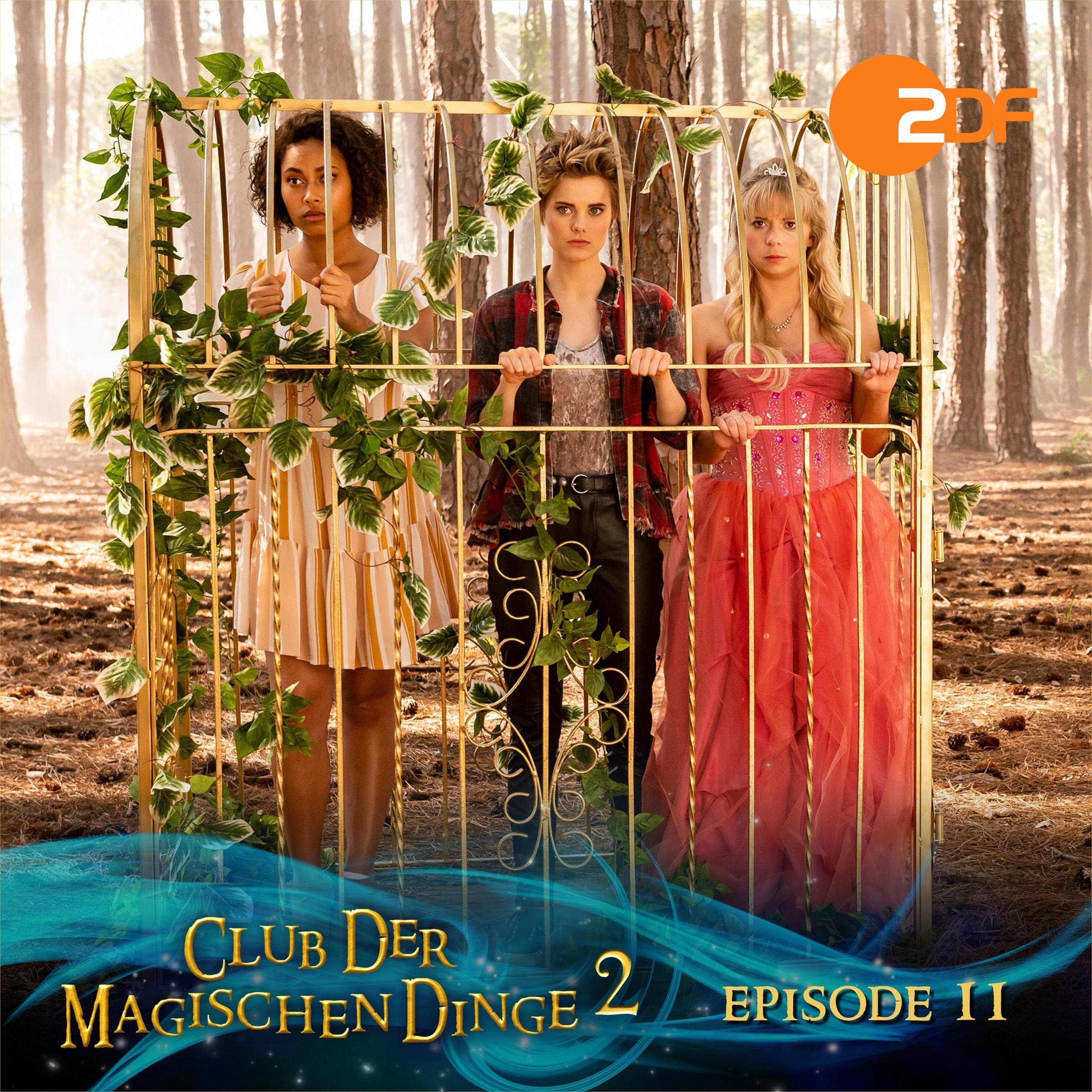 Cover art for Verschwunden im Zauberwald. Das Original-Hörspiel zur TV-Serie